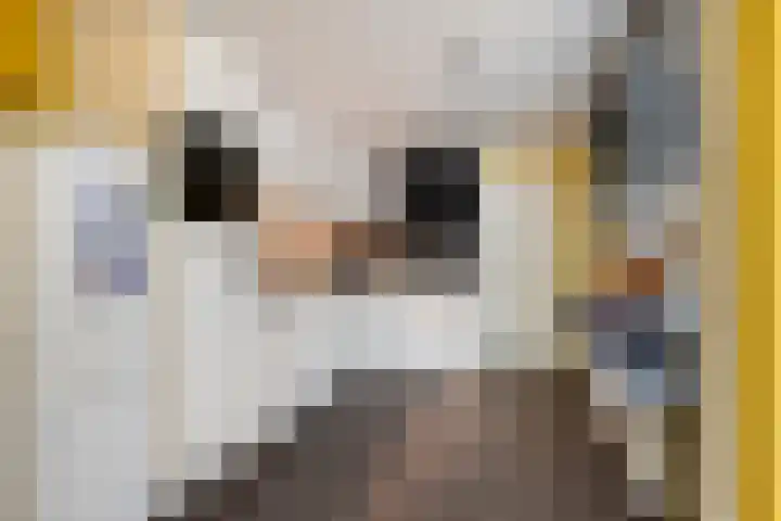 Menninge 36 Oosterwolde thumbnail 12