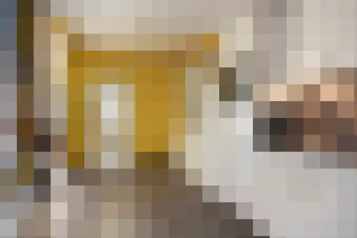 Menninge 36 Oosterwolde thumbnail 13