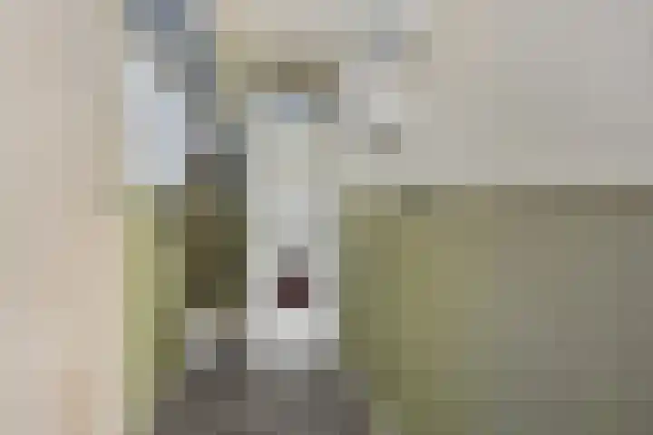 Menninge 36 Oosterwolde thumbnail 15
