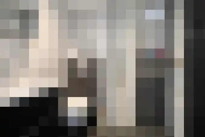 Menninge 36 Oosterwolde thumbnail 19