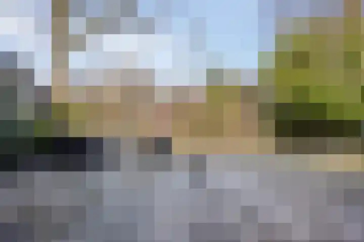 Menninge 36 Oosterwolde thumbnail 24