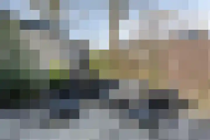 Menninge 36 Oosterwolde thumbnail 25