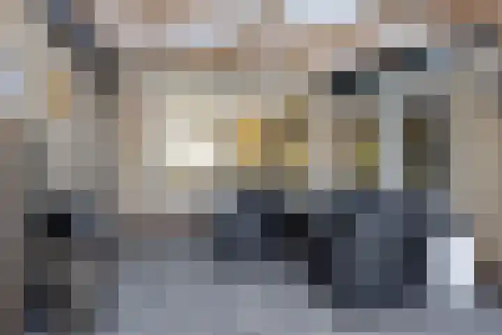 Menninge 36 Oosterwolde thumbnail 27