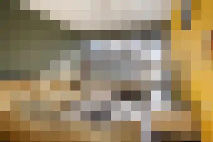 Menninge 36 Oosterwolde thumbnail 9
