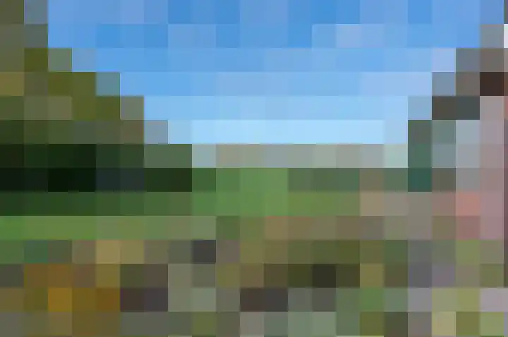 Menninkweg 1 Hengelo (Gld) thumbnail 10