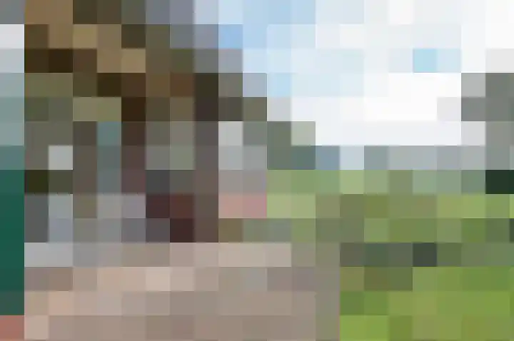Menninkweg 1 Hengelo (Gld) thumbnail 12