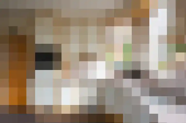 Menninkweg 1 Hengelo (Gld) thumbnail 22