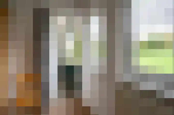 Menninkweg 1 Hengelo (Gld) thumbnail 37