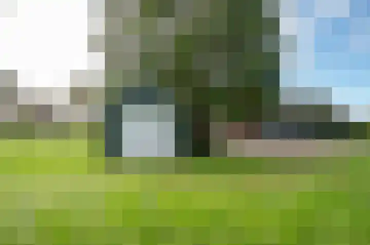 Menninkweg 1 Hengelo (Gld) thumbnail 49