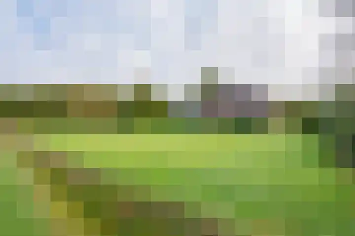 Menninkweg 1 Hengelo (Gld) thumbnail 50