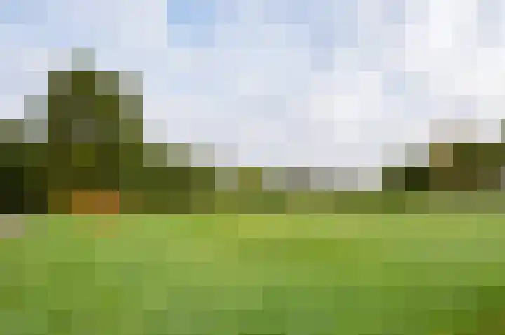 Menninkweg 1 Hengelo (Gld) thumbnail 52
