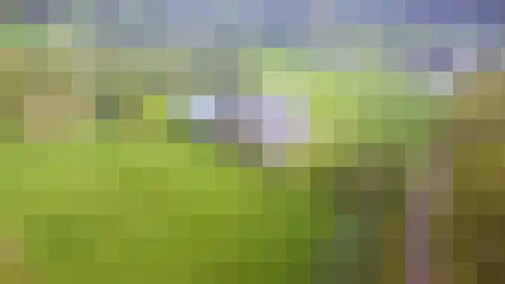 Menninkweg 1 Hengelo (Gld) thumbnail 53