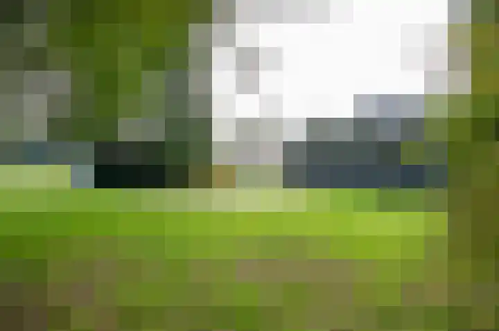 Menninkweg 1 Hengelo (Gld) thumbnail 9
