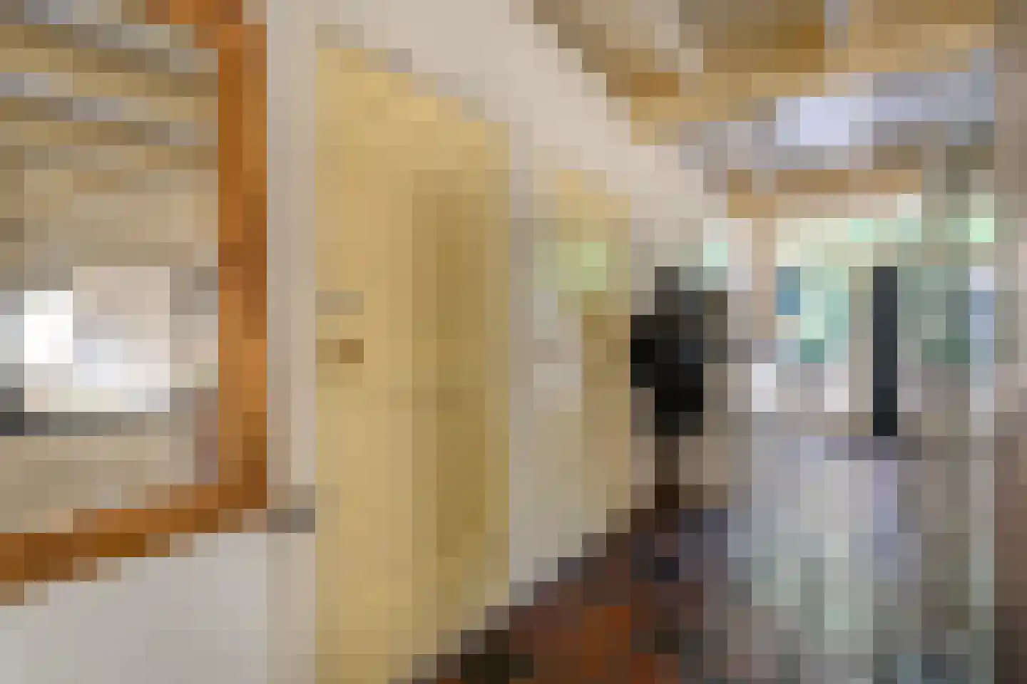 Mennistensteeg 6 Dalfsen thumbnail 11