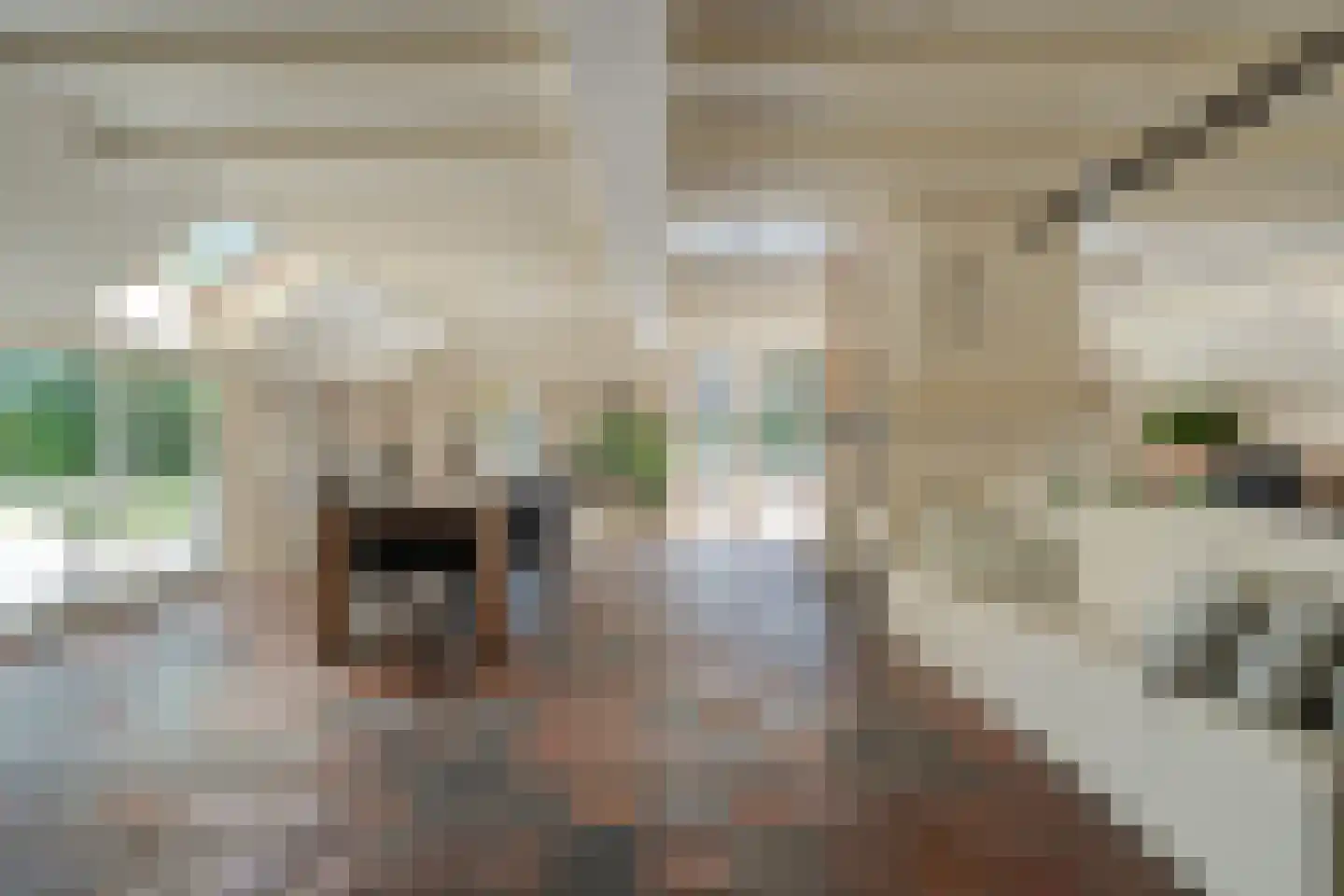 Mennistensteeg 6 Dalfsen thumbnail 13
