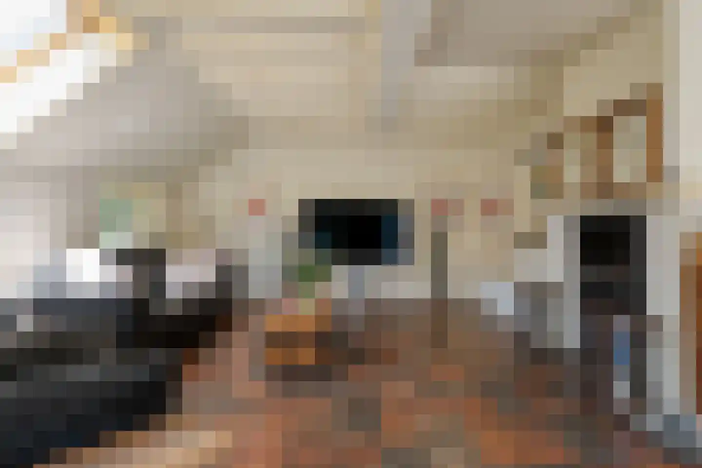 Mennistensteeg 6 Dalfsen thumbnail 15