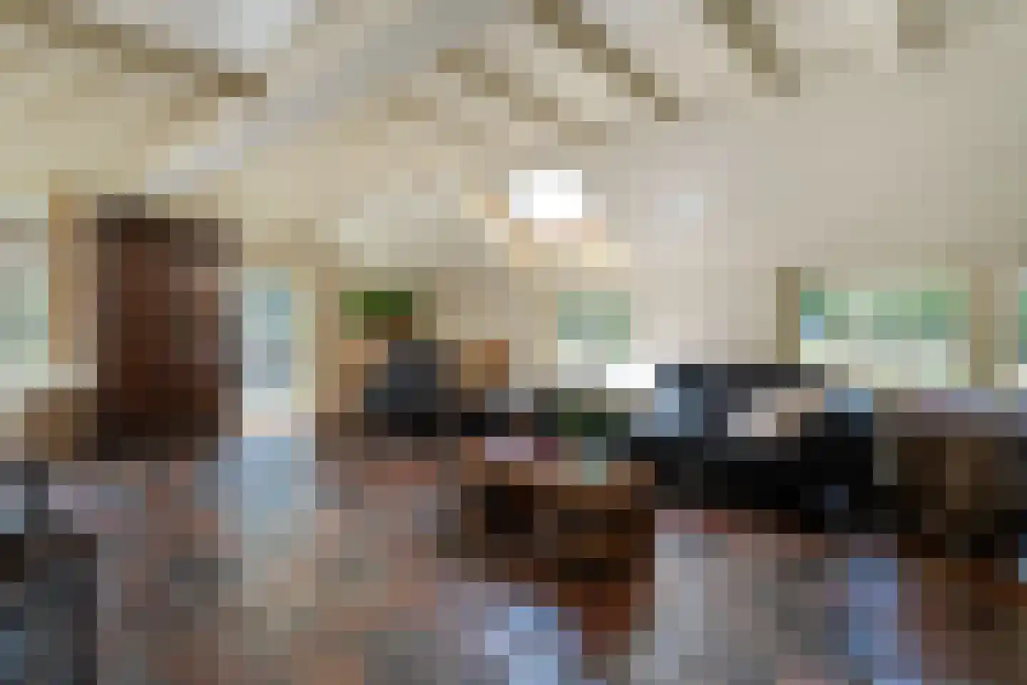 Mennistensteeg 6 Dalfsen thumbnail 16