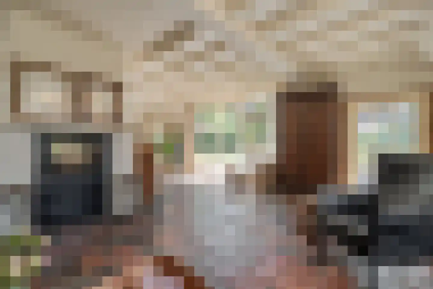 Mennistensteeg 6 Dalfsen thumbnail 17