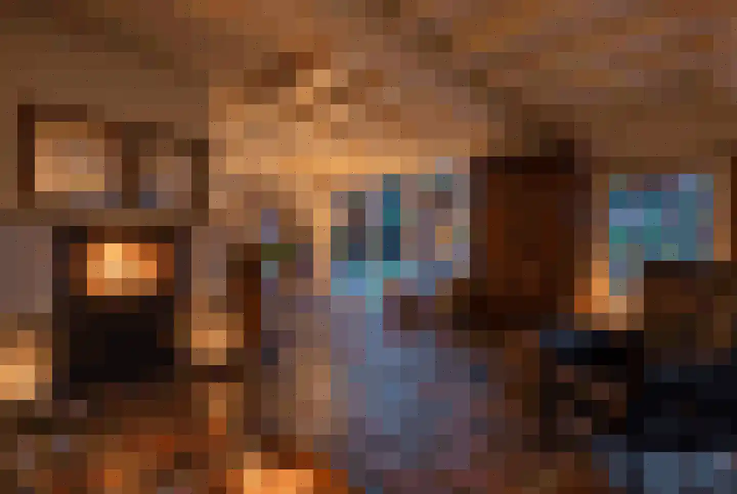 Mennistensteeg 6 Dalfsen thumbnail 18
