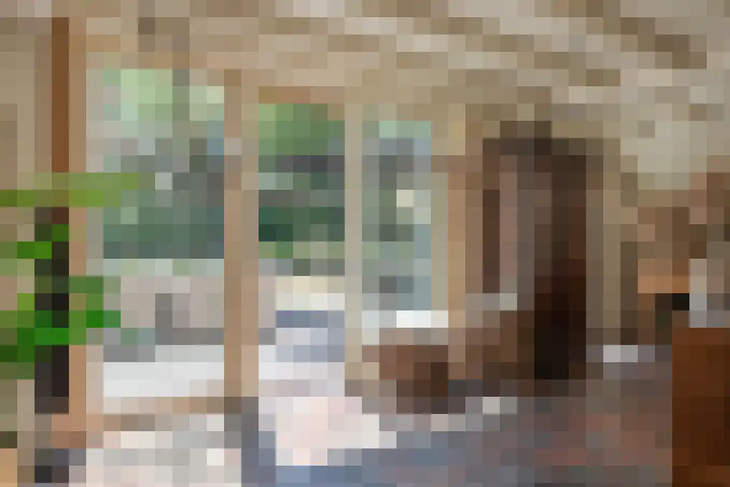 Mennistensteeg 6 Dalfsen thumbnail 22