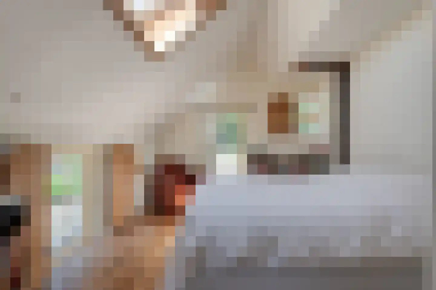 Mennistensteeg 6 Dalfsen thumbnail 22