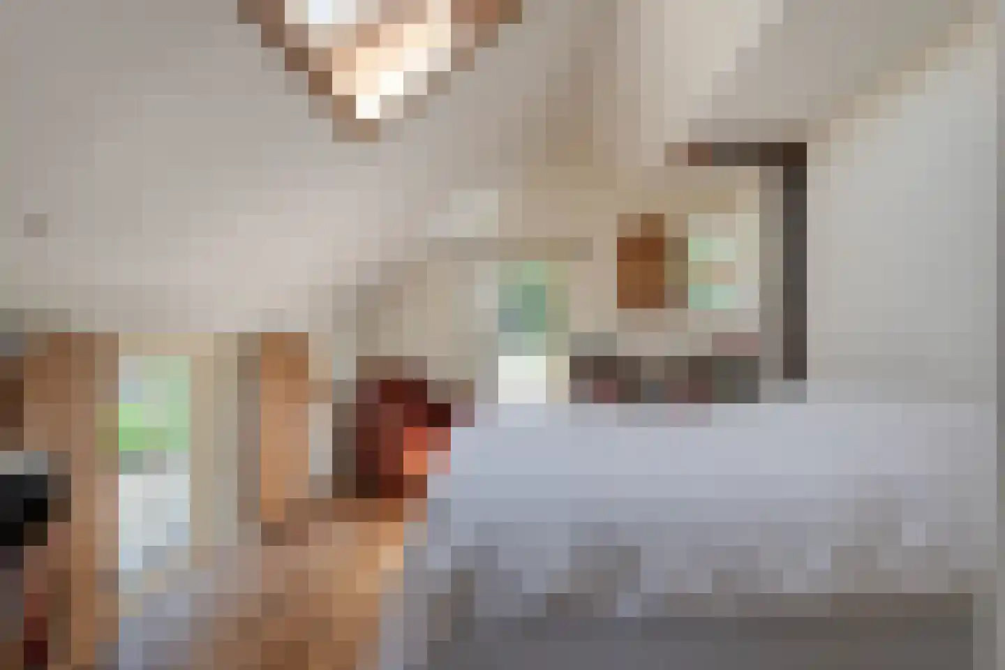 Mennistensteeg 6 Dalfsen thumbnail 23