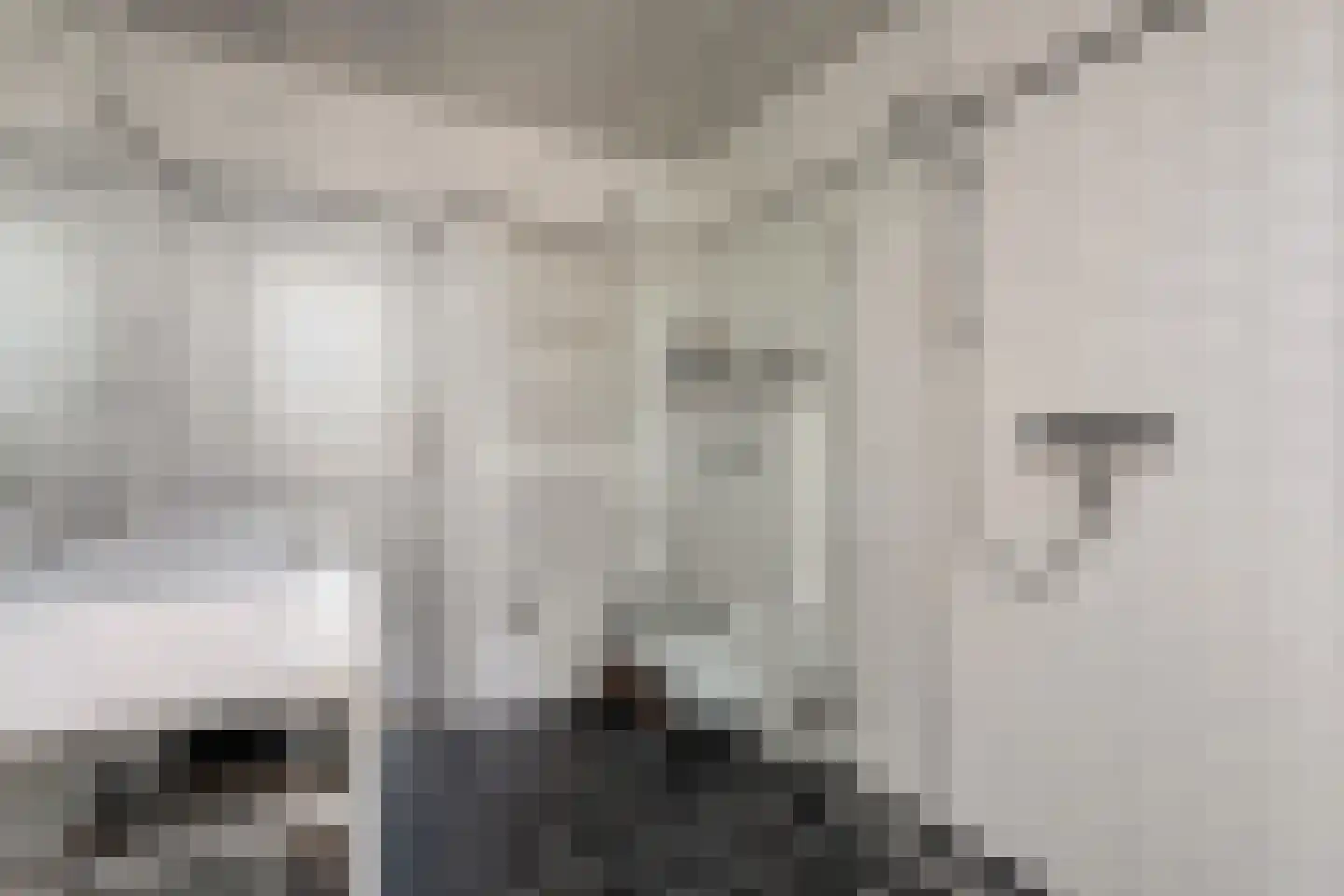 Mennistensteeg 6 Dalfsen thumbnail 24