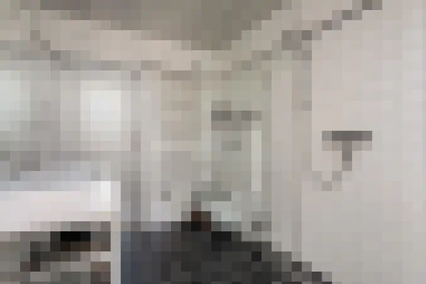 Mennistensteeg 6 Dalfsen thumbnail 25