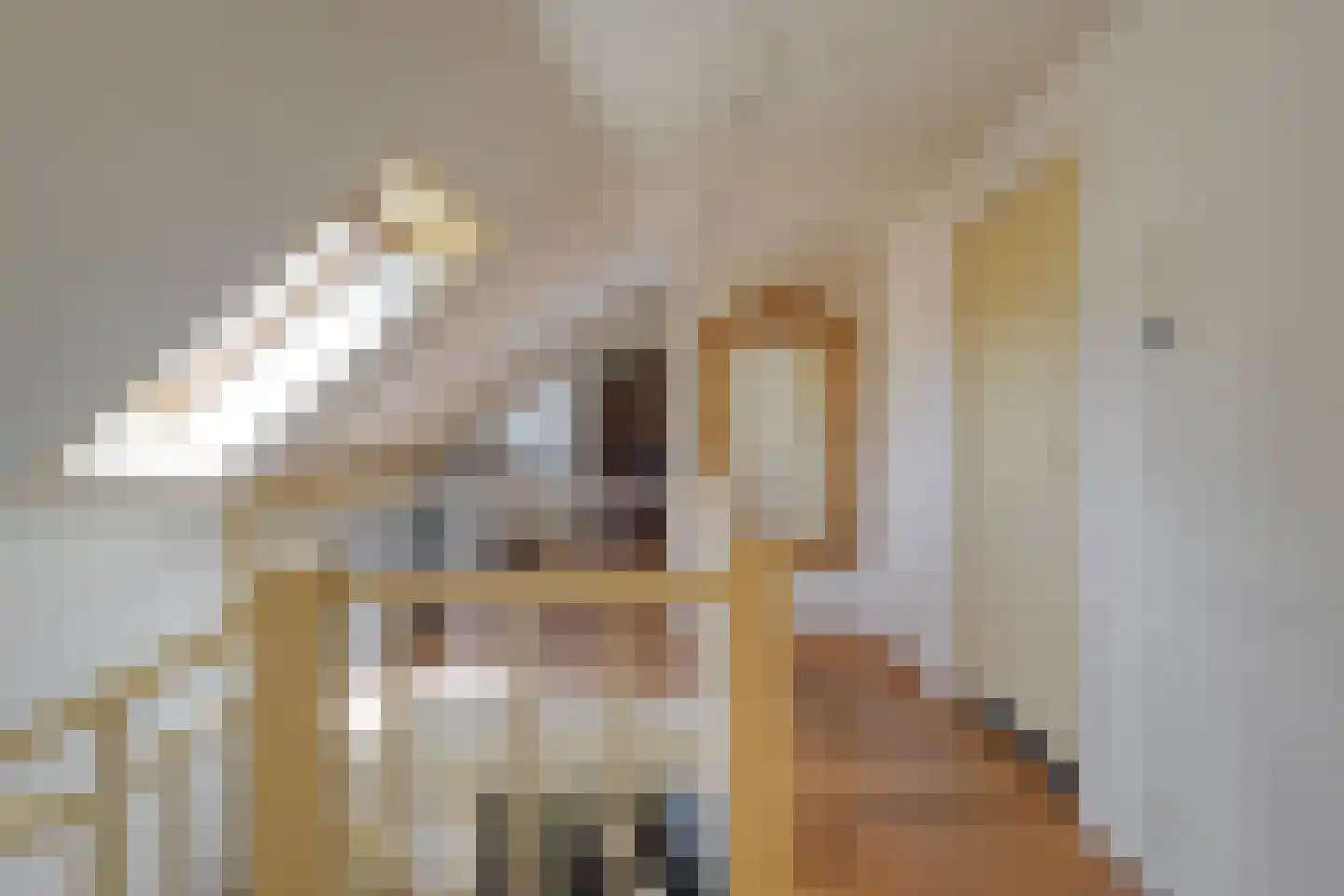 Mennistensteeg 6 Dalfsen thumbnail 27