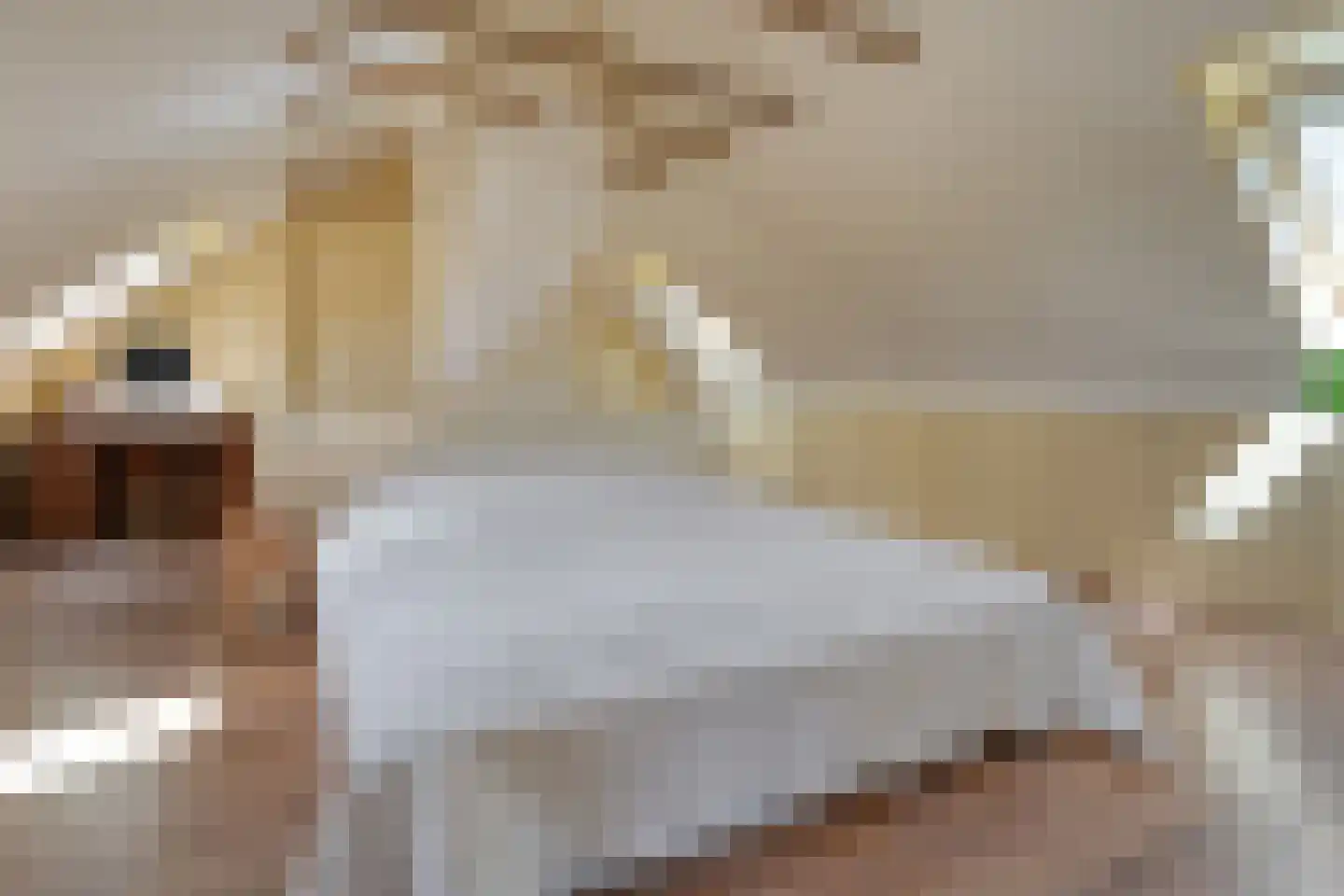 Mennistensteeg 6 Dalfsen thumbnail 28