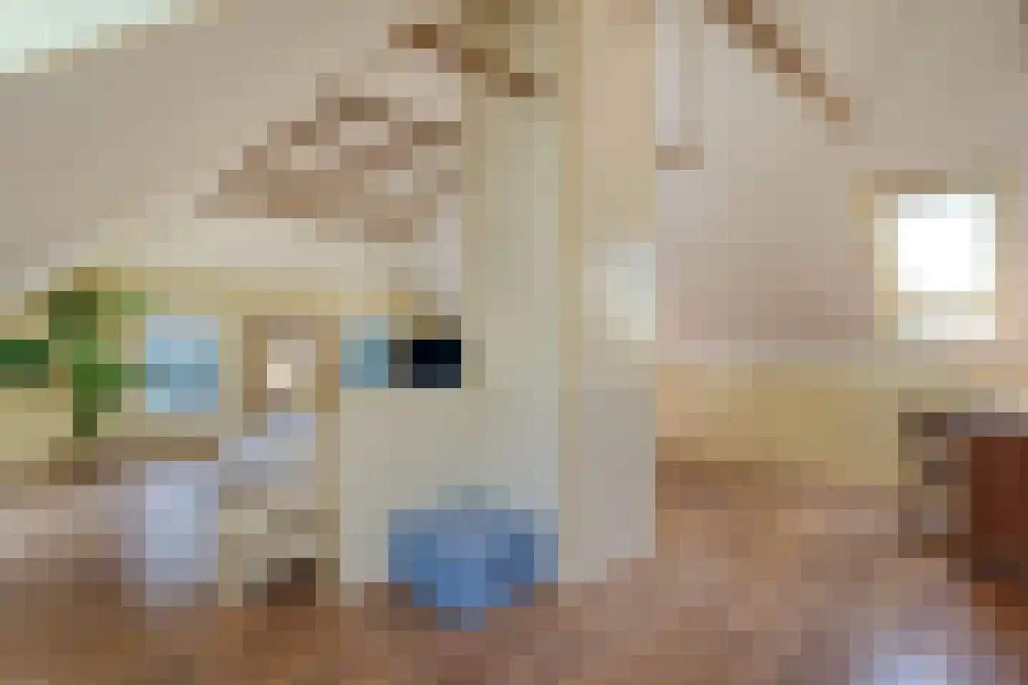 Mennistensteeg 6 Dalfsen thumbnail 29