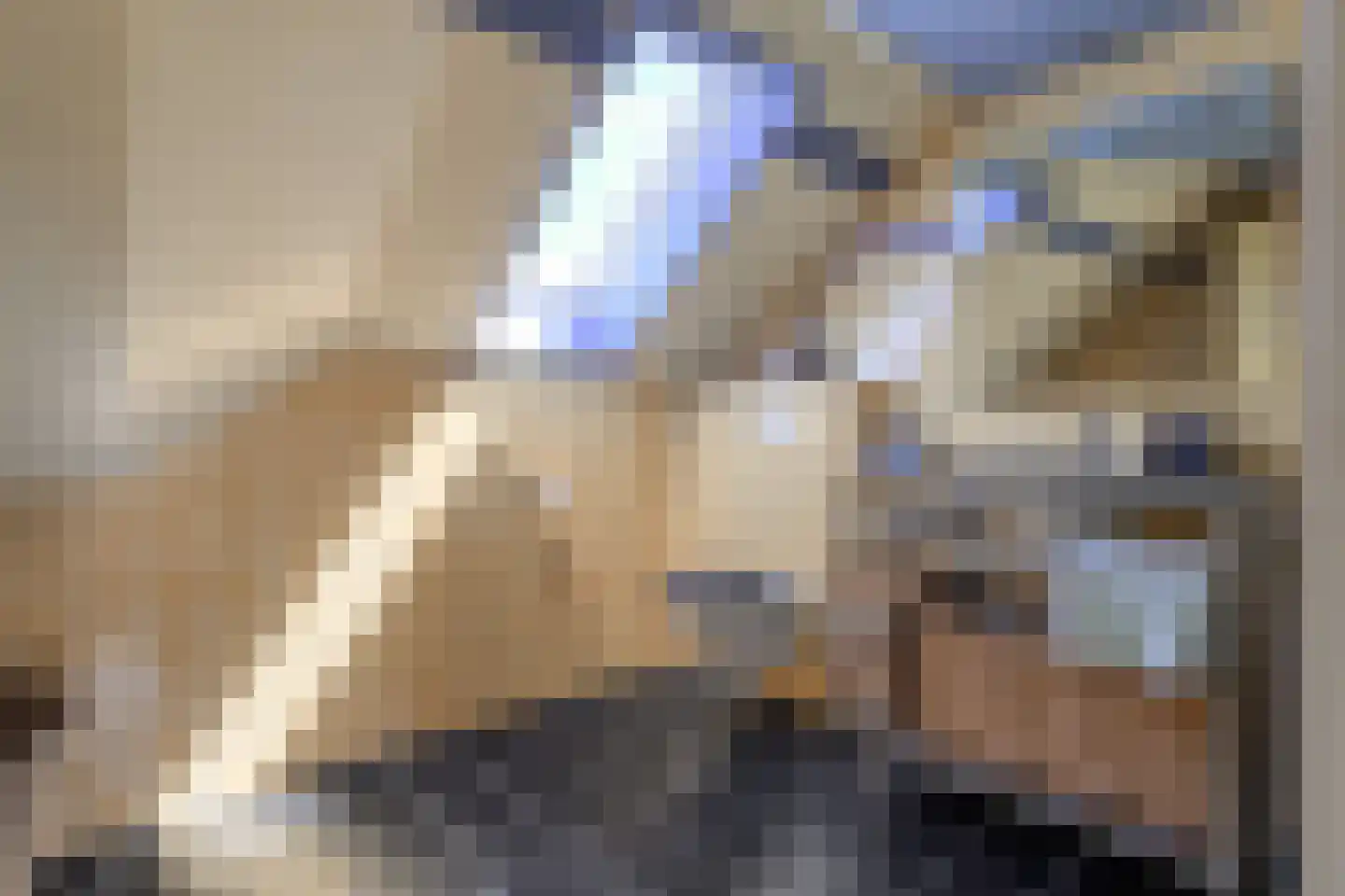Mennistensteeg 6 Dalfsen thumbnail 31