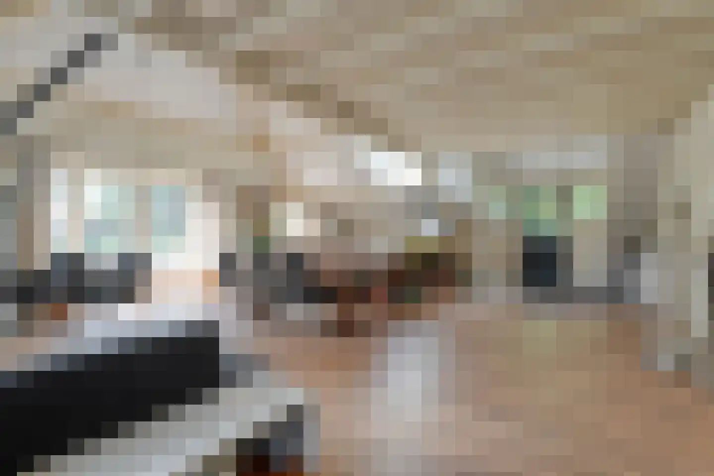 Mennistensteeg 6 Dalfsen thumbnail 38
