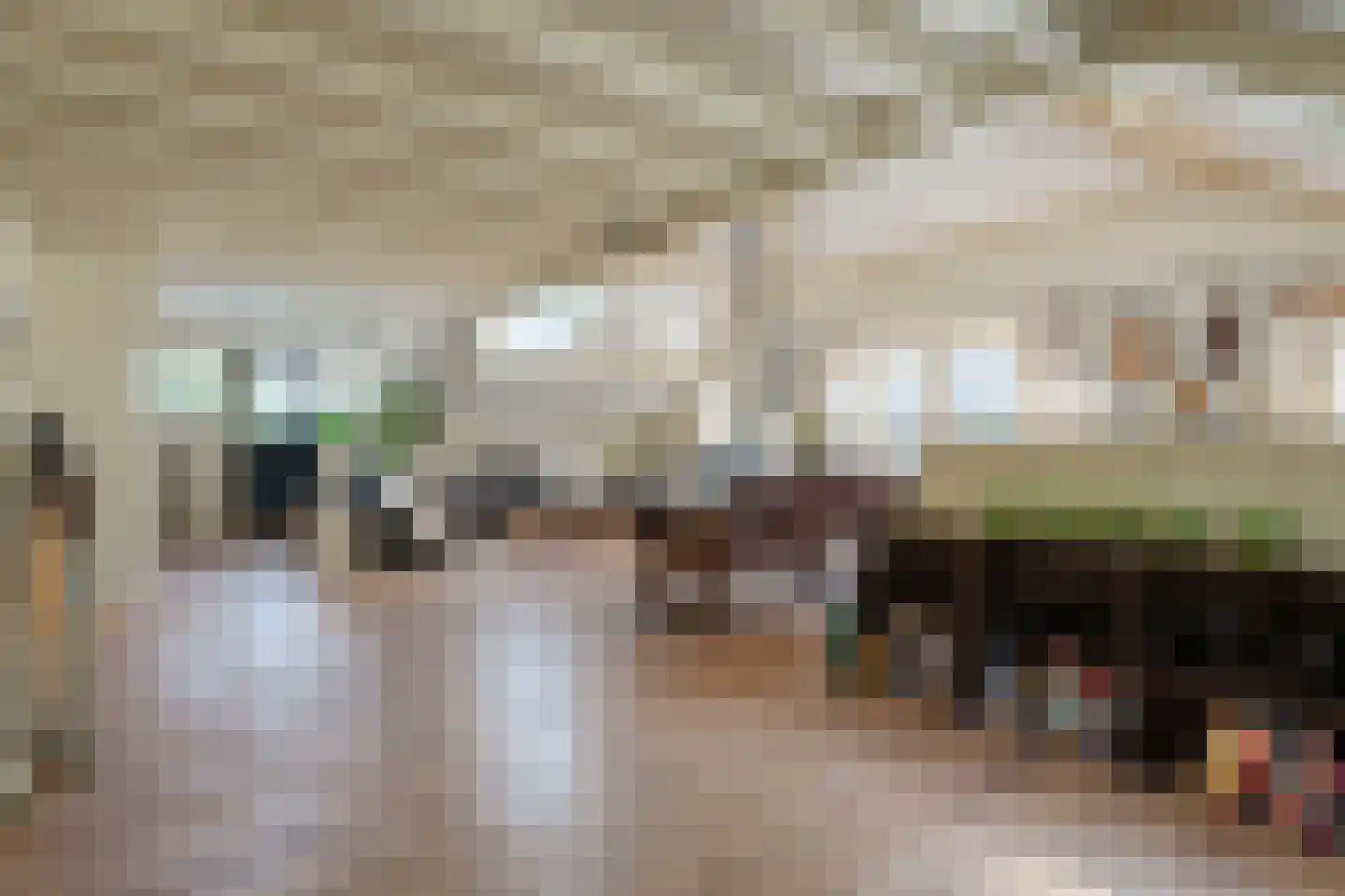 Mennistensteeg 6 Dalfsen thumbnail 39