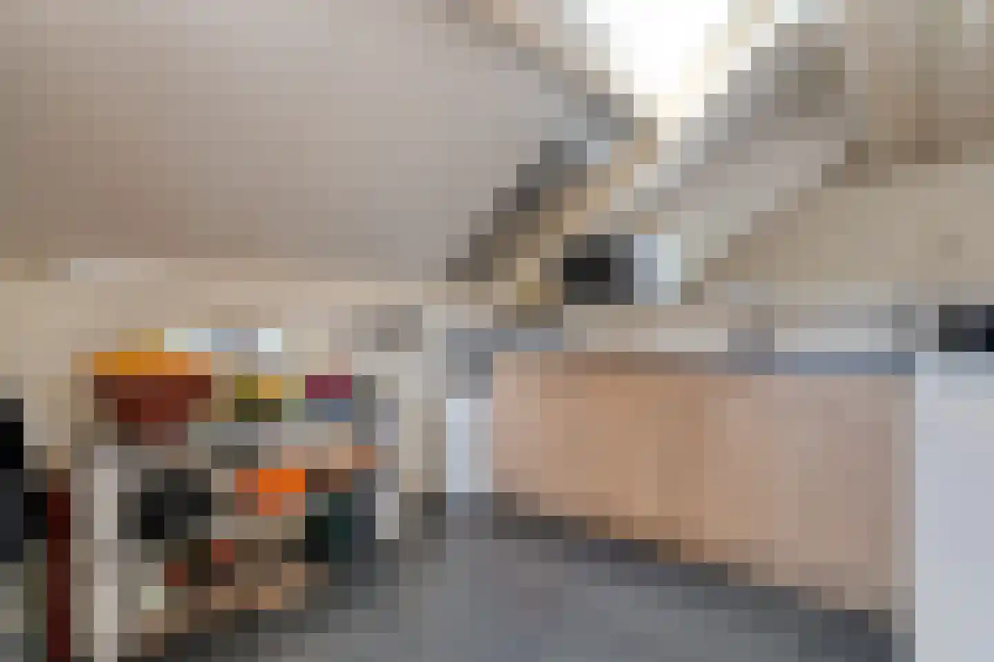 Mennistensteeg 6 Dalfsen thumbnail 41