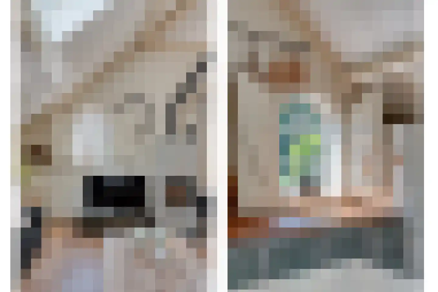 Mennistensteeg 6 Dalfsen thumbnail 42