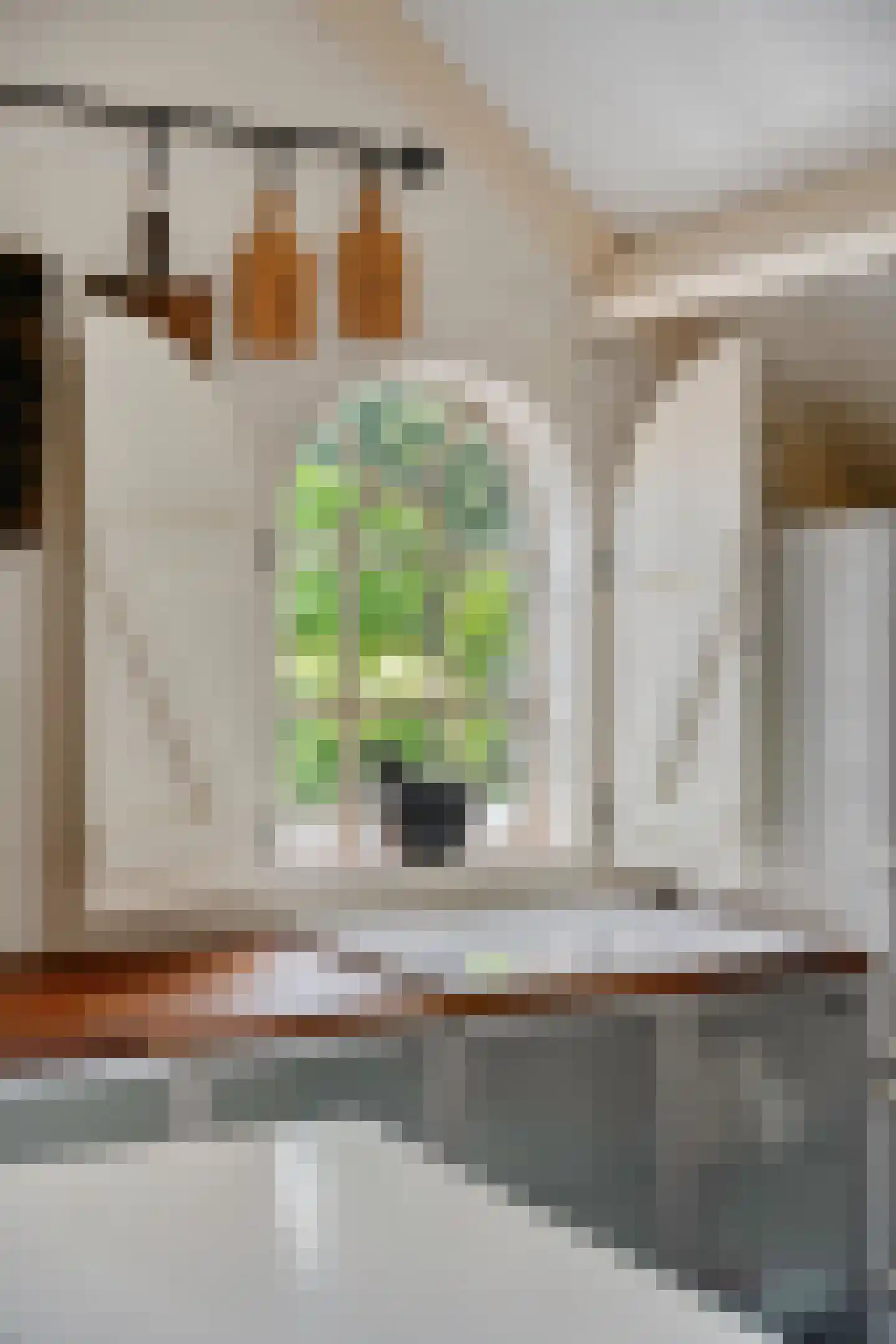 Mennistensteeg 6 Dalfsen thumbnail 43