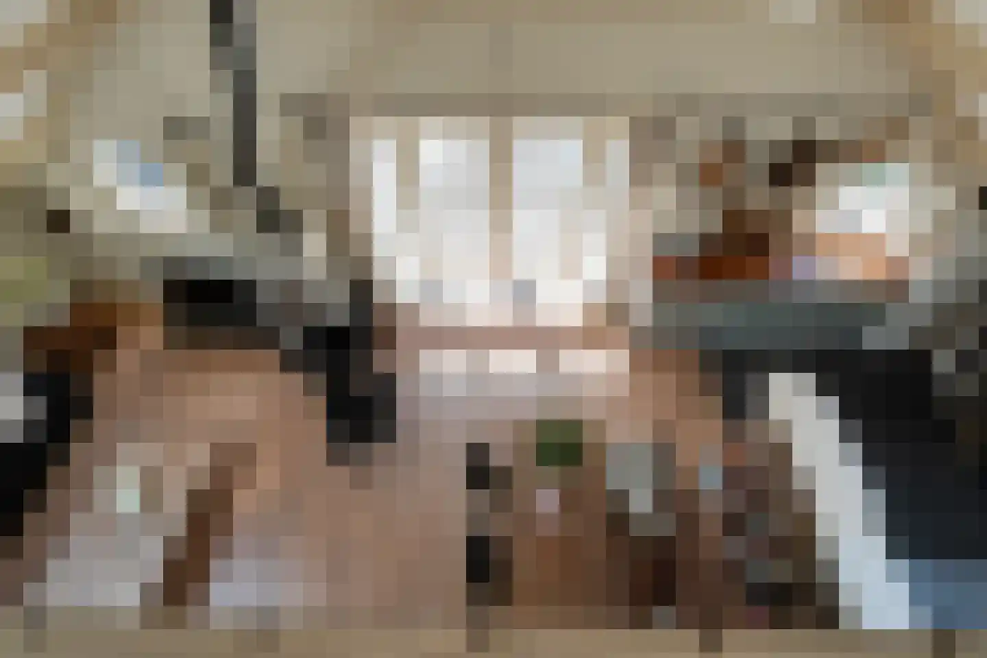 Mennistensteeg 6 Dalfsen thumbnail 45