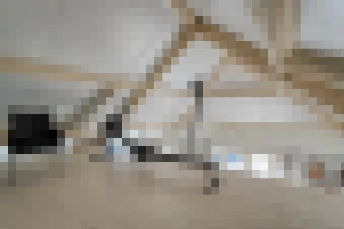 Mennistensteeg 6 Dalfsen thumbnail 46
