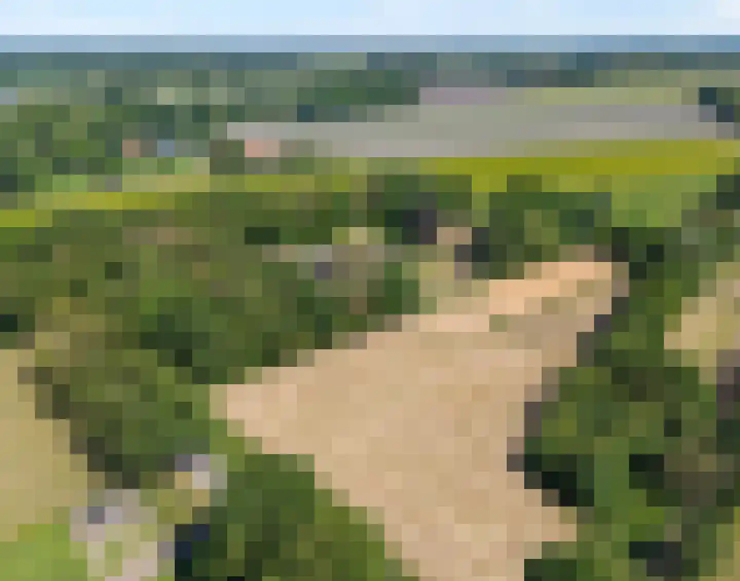 Mennistensteeg 6 Dalfsen thumbnail 47