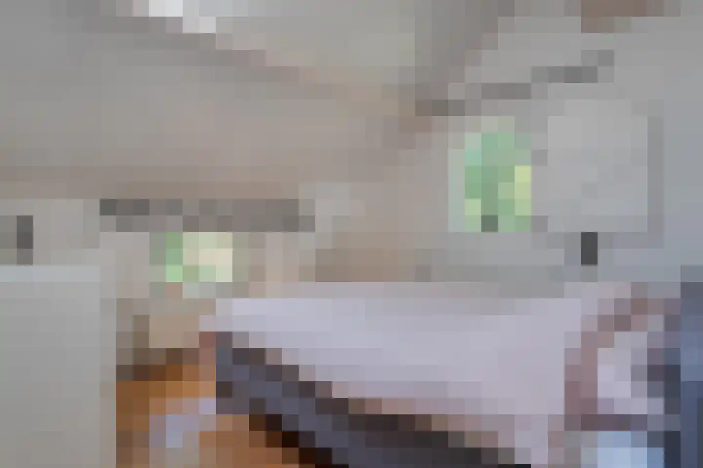 Mennistensteeg 6 Dalfsen thumbnail 47