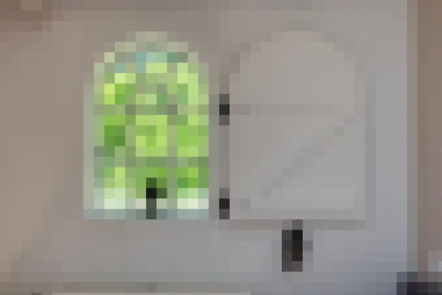 Mennistensteeg 6 Dalfsen thumbnail 48