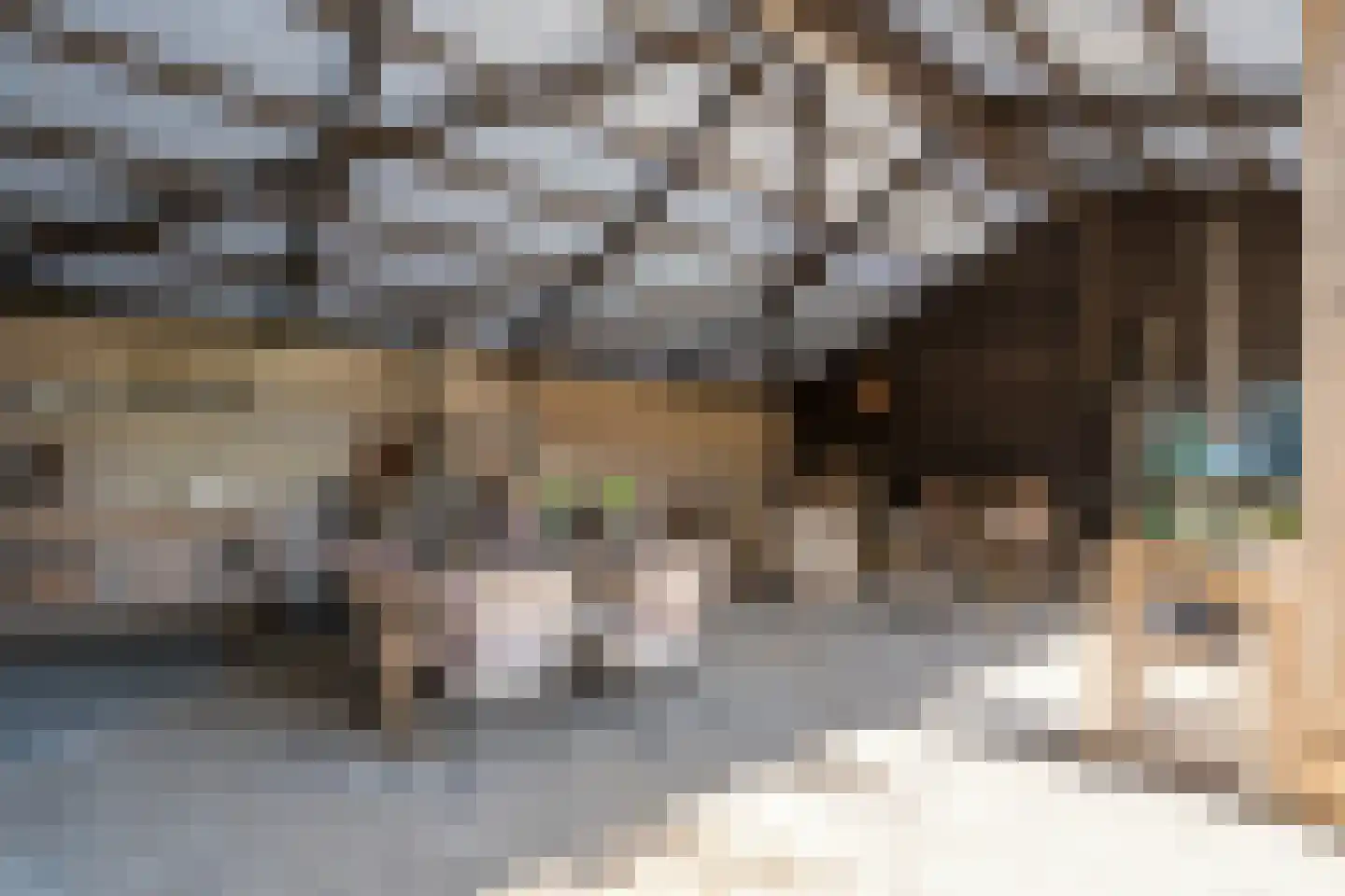 Mennistensteeg 6 Dalfsen thumbnail 49