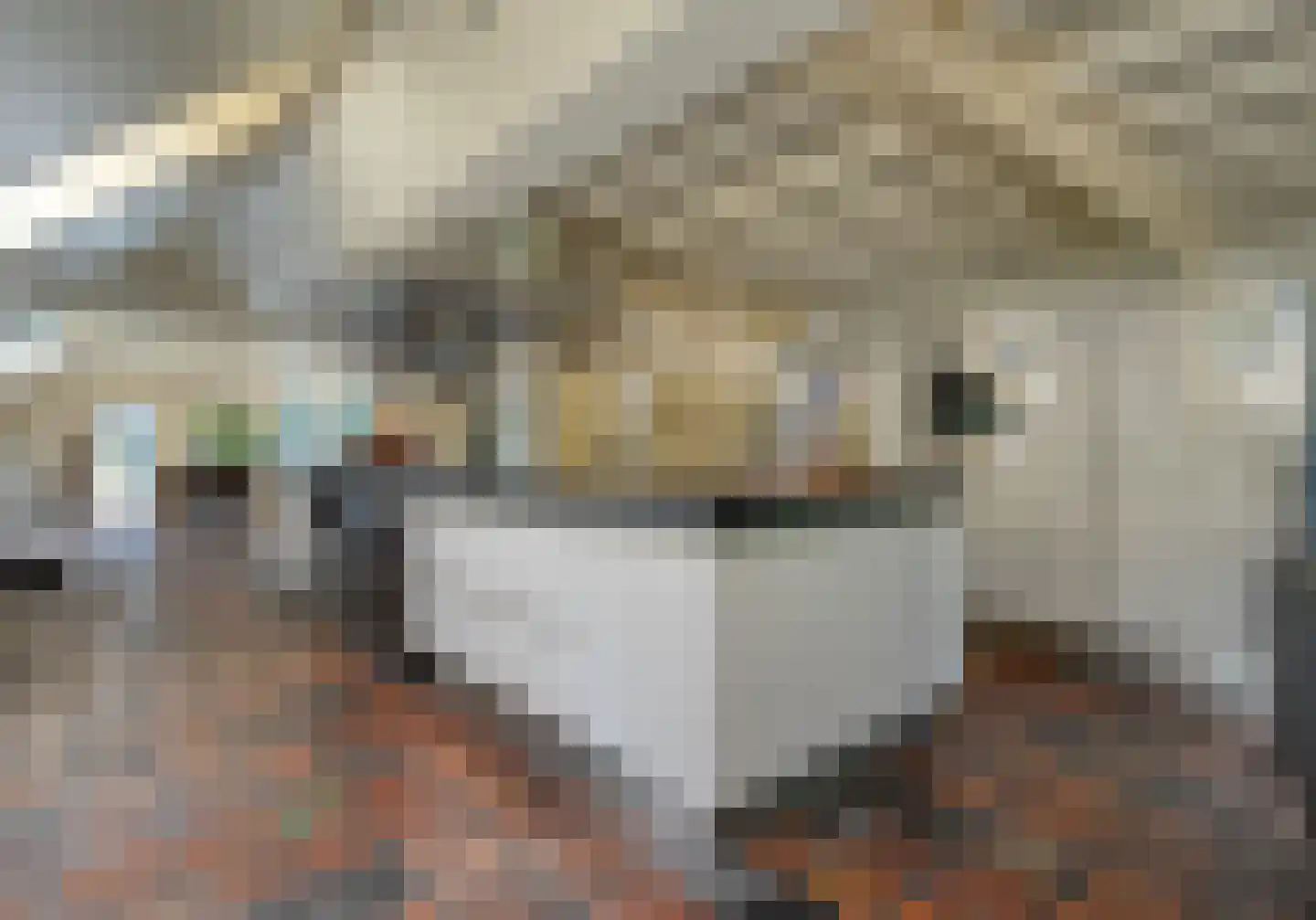 Mennistensteeg 6 Dalfsen thumbnail 5