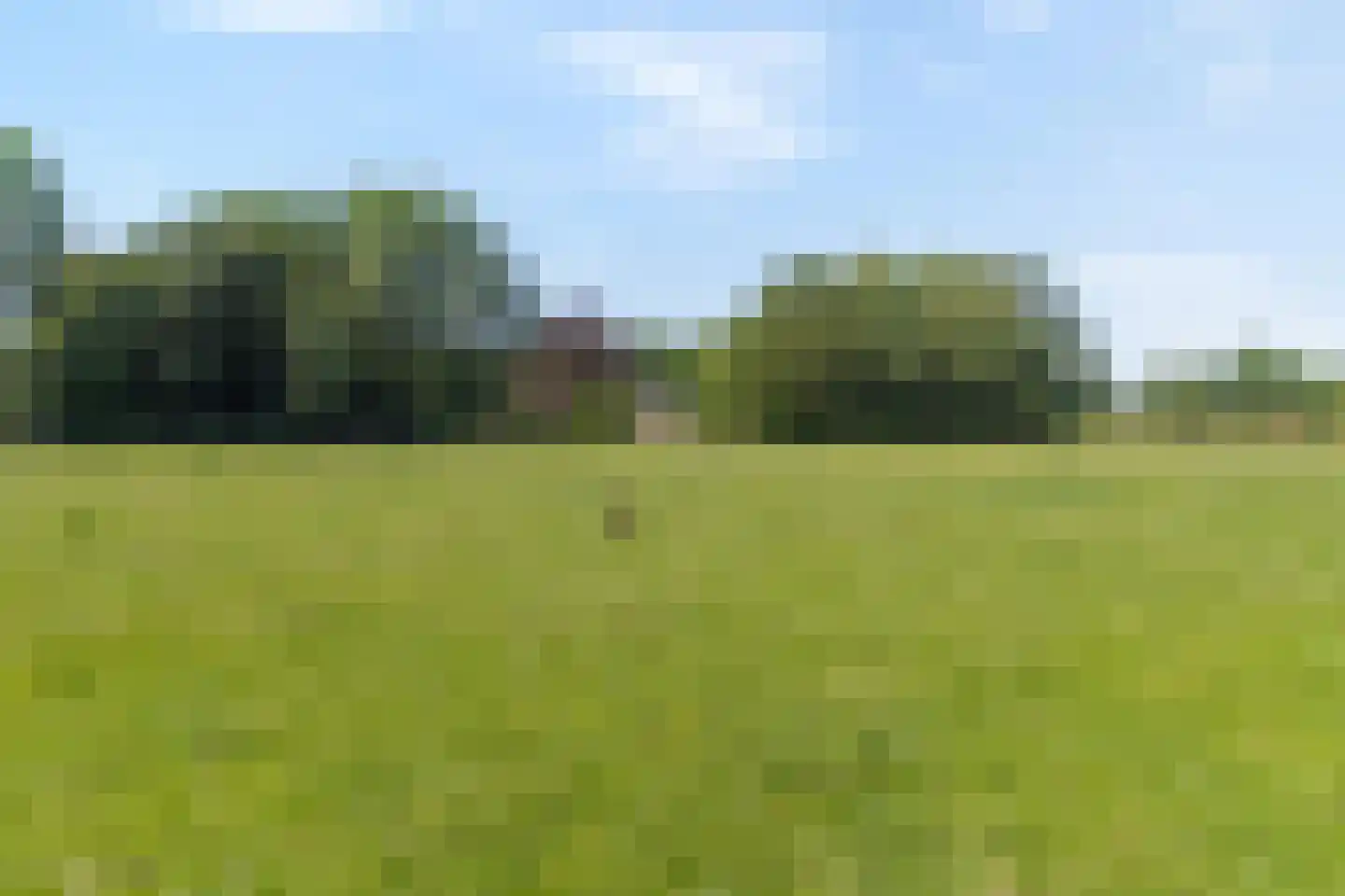 Mennistensteeg 6 Dalfsen thumbnail 50