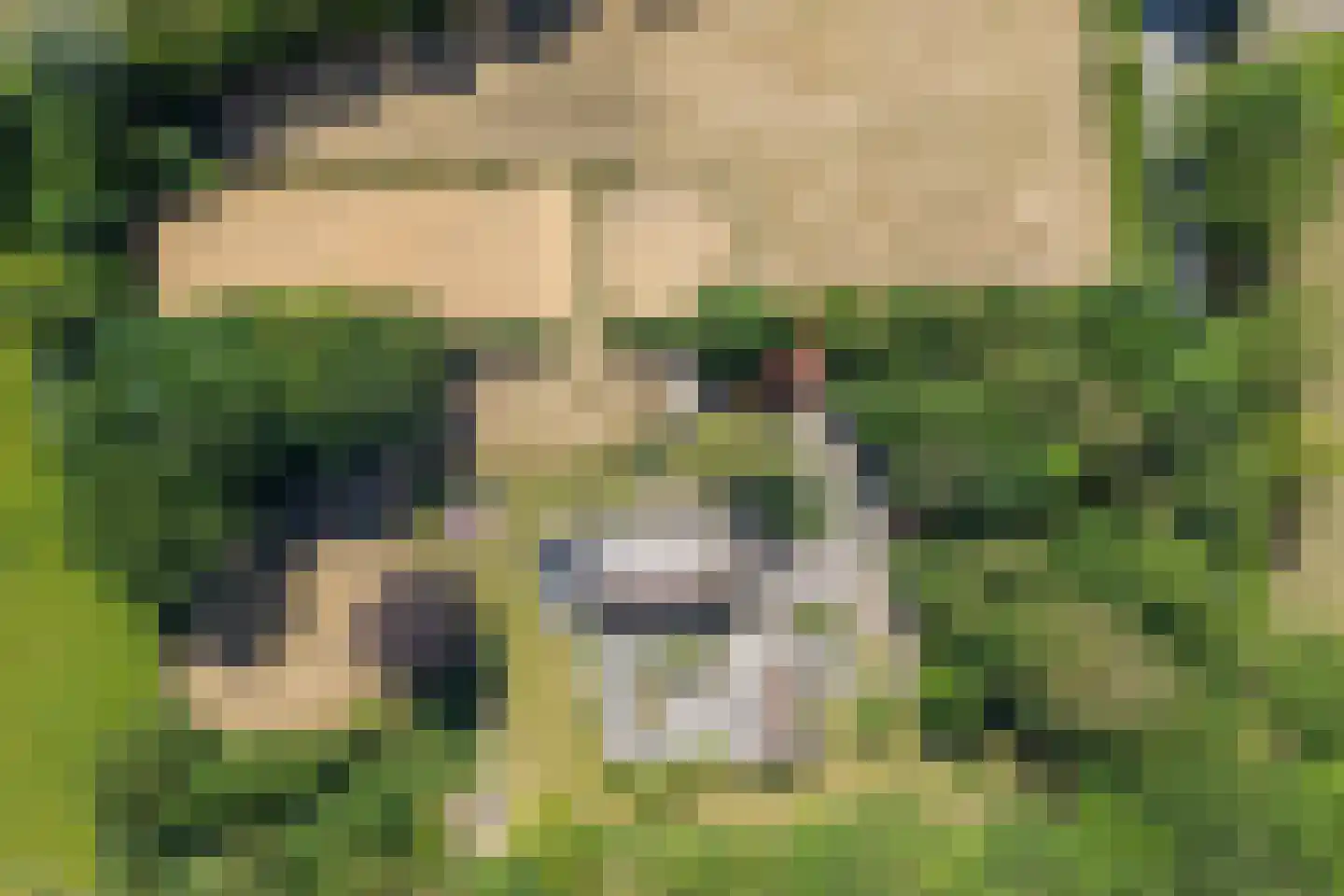 Mennistensteeg 6 Dalfsen thumbnail 51