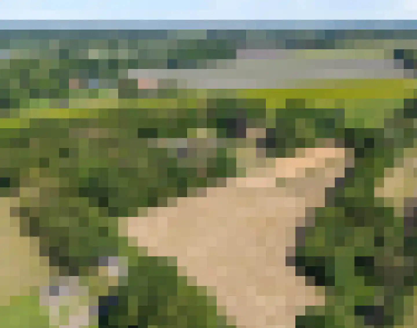 Mennistensteeg 6 Dalfsen thumbnail 52