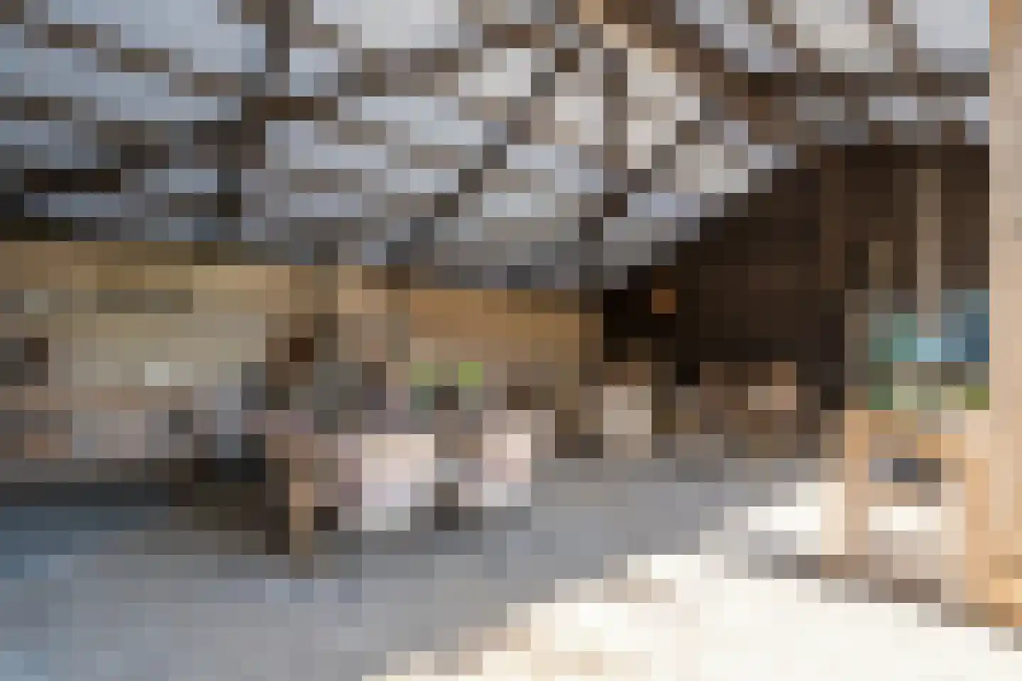 Mennistensteeg 6 Dalfsen thumbnail 54