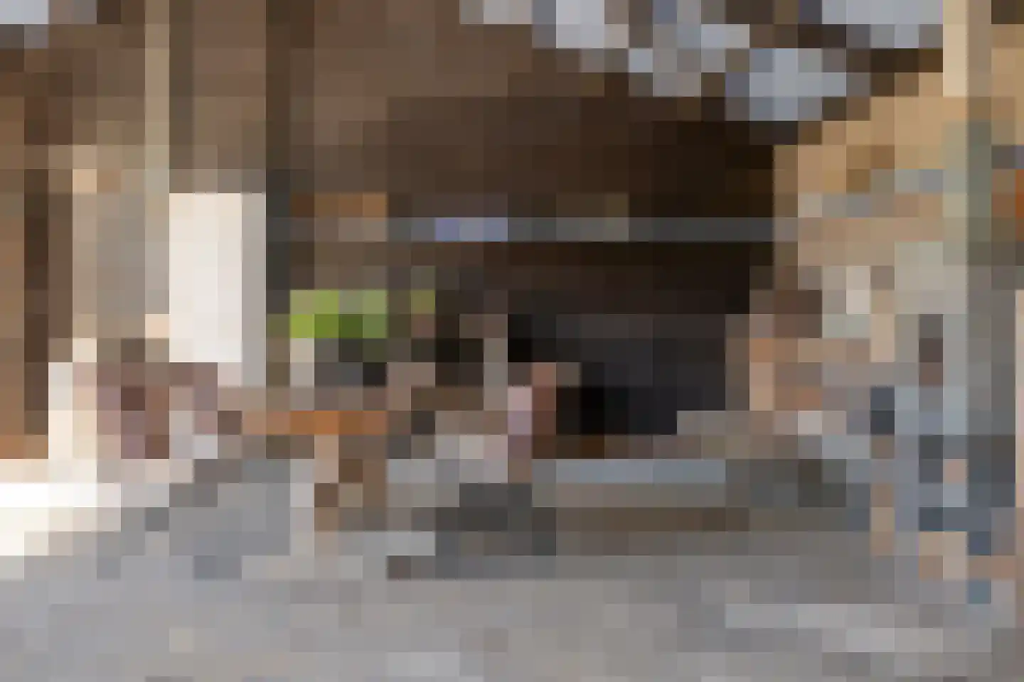 Mennistensteeg 6 Dalfsen thumbnail 55
