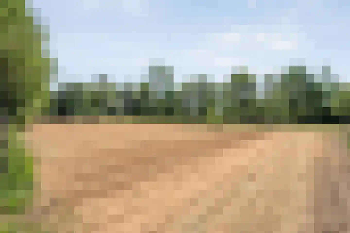Mennistensteeg 6 Dalfsen thumbnail 59